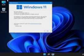 Windows 11 Lite Pro + Office 2SC Pro Plus x64 2021