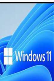 Windows 11 AIO Insider AGOSTO pt-BR 2021
